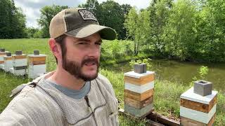 Beekeeping in the Rain  (Building a Bee Business Vlog #47)