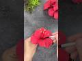 From Craft to Bloom 🌷 | Handmade Flower | DIY Floral Magic by FLORIVA #shorts #flowers