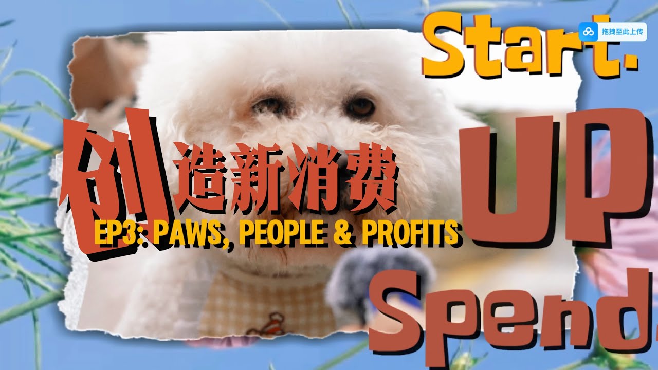 Start. Up. Spend. EP03 | Paws, People & Profit