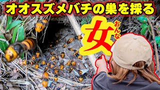 オオスズメバチの巣を採る女 - YouTube