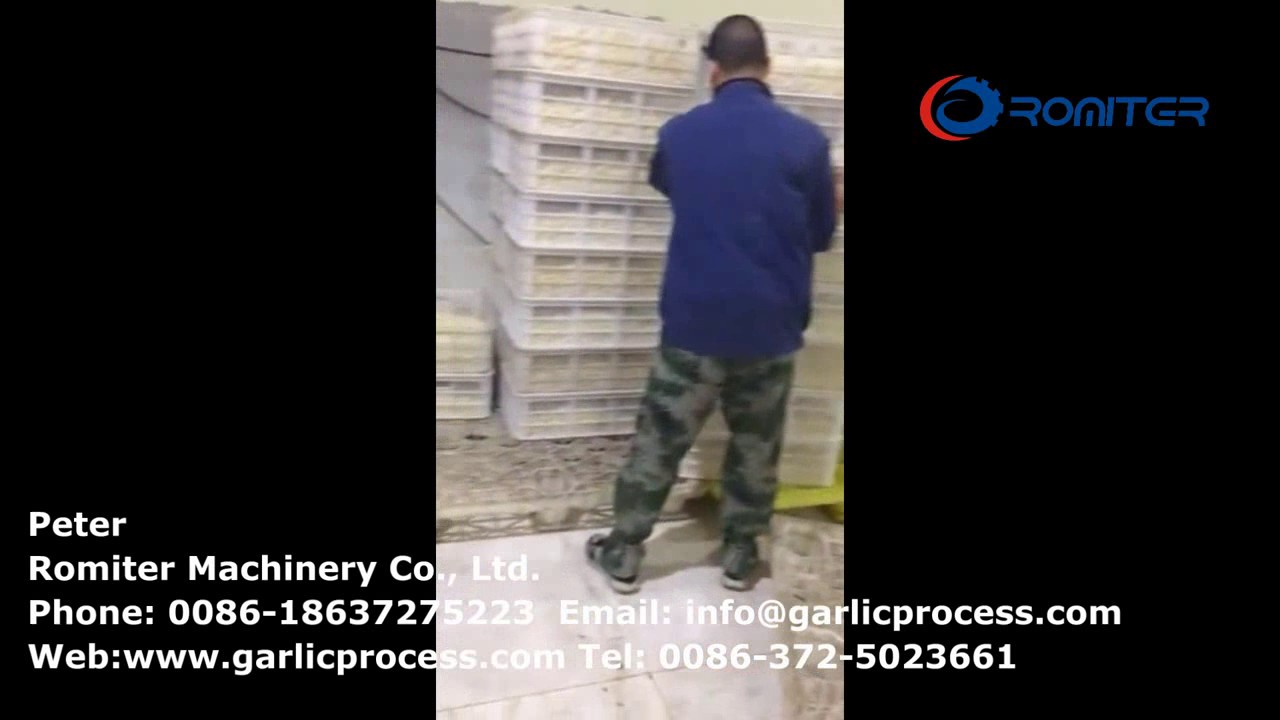 Full Automatic Peeled Garlic Clove Multi Head Weighing and Packing Machine