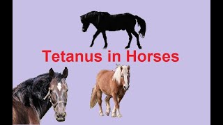 Learn what Equine Tetanus is in Horses with symptoms and treatment Full information video