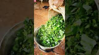 DIY Nutritious Chicken Feeder Recipe: Healthy Homemade Chicken Feed Mix screenshot 5