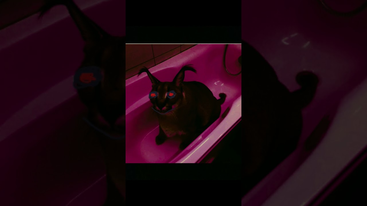 Нервные лица Шлёпы часть 7