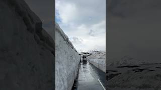 Snow Walls Taller Than Anything We Expected 😮❄️ #stillwalk #himachal #india #nature #dailyshorts