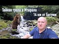 Тайная тропа в Мтирала парк. Дикая природа Батуми | Batumi Wild Nature. Mtirala National Park