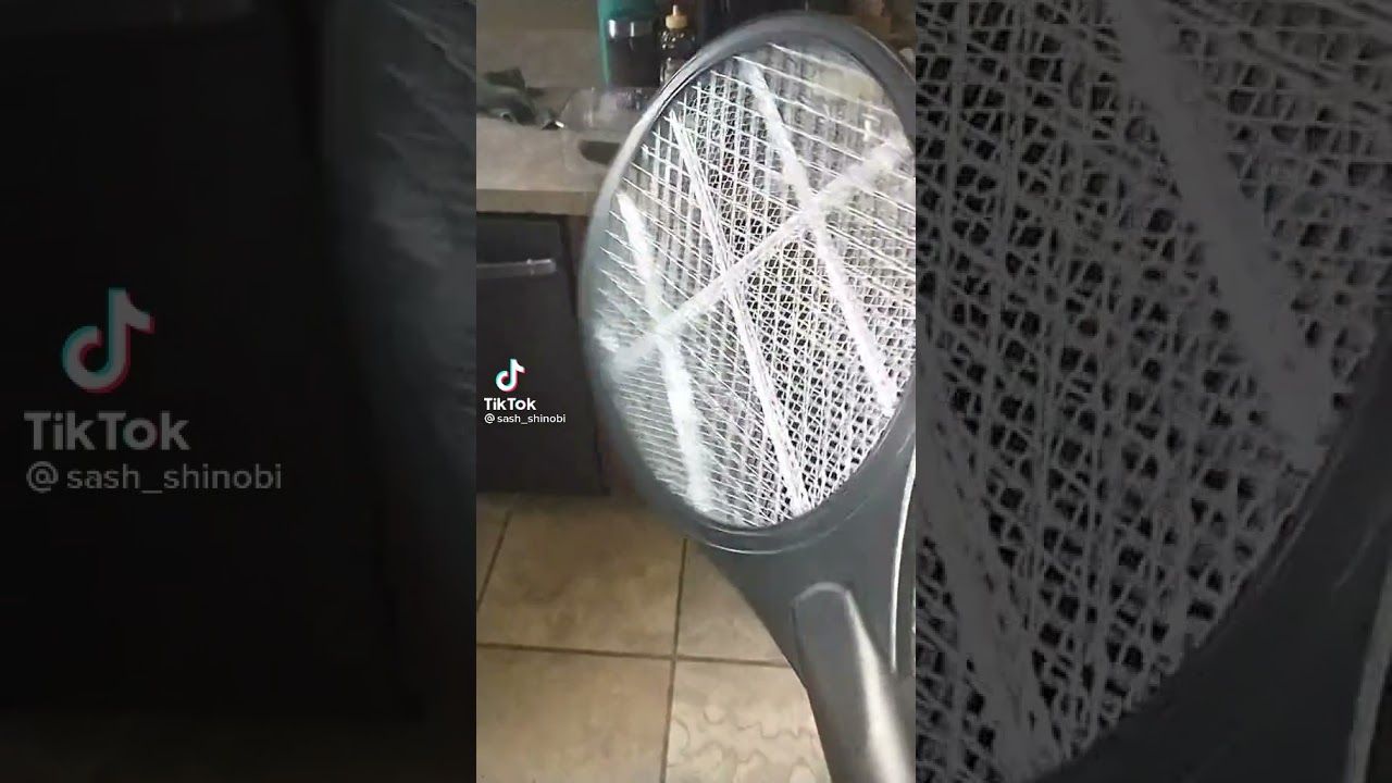 Dog Bites Bug Zapper (Lola No!)