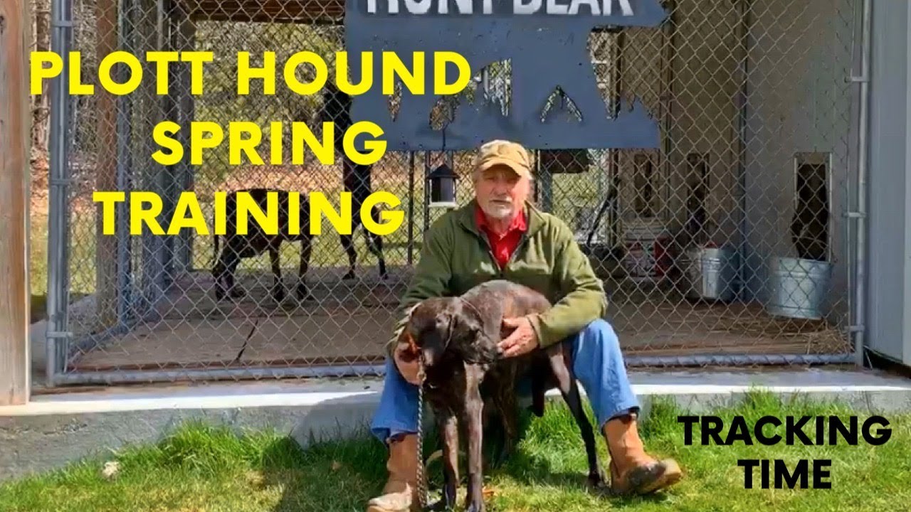 Plott Hound Spring Training With Sam Natole