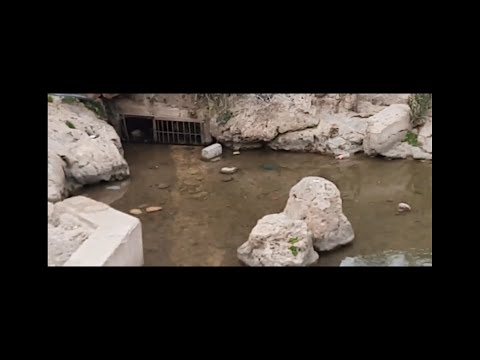 اول يوم في لعروبية ديال عين الصفا وجولة خفيفة في مغارة الكاف