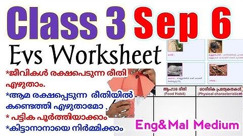 Class 3 Victers Evs Sep 6 Worksheet/victers class 3 evs worksheet/victers channel std3 worksheet