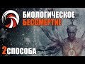 Как Стать БЕССМЕРТНЫМ (биологическое бессмертие)