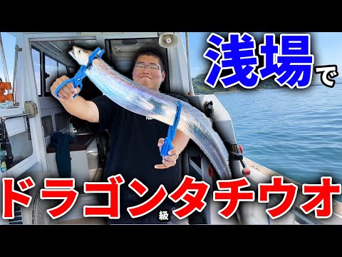 こんな浅場で巨大な刀のような魚が釣れた！！