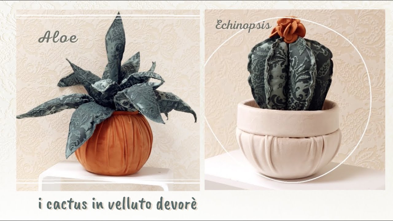 I cactus Aloe ed  Echinopsis in velluto devorè broccato