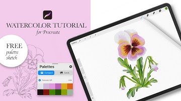 Procreate Watercolor Pansies Tutorial - Step by step - Drawing tutorial by OwlAsya