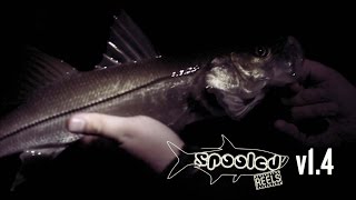 Docklight Snook - Docklight Chronicles v1.4