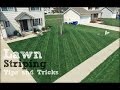 Lawn Striping - How To Achieve The Best Stripes In Your Lawn