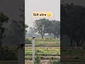 20x zoom test s24 ultra🤫#youtubeshort#viralvideo #ytshorts#s24ultra#zooming#s24ultravsiphone16zoom