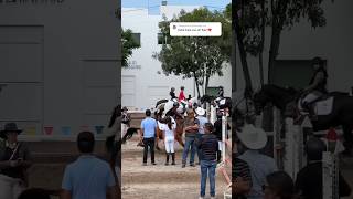 Raw is here ??And also the second jump ?? gilaryeq horse showjumping equestrian horseriding