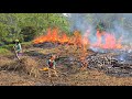 Single mother transforms land to grow more corn: The life of Ly Tieu Ca