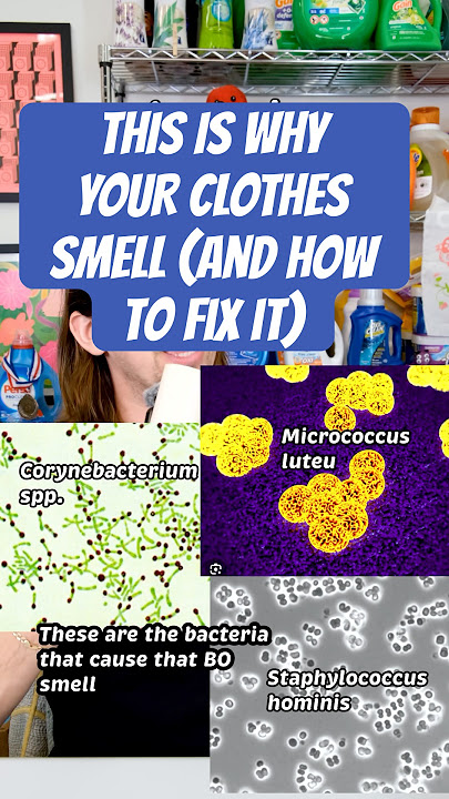 Body Odor On Clothes - How To Remove The Stink #laundry