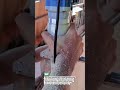 Wood Joint Trick #constructionhack#builderskills #tools #diy #builder...