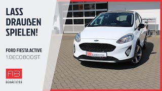 Lass draußen spielen! 😉- Ford Fiesta Active 1.0EcoBoost 2018 22-155