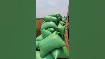 vỏ trấu cải tạo đất, làm xốp, thoáng đất