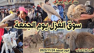 سوق الغزل لبيع وشراء الحيوانات يوم الجمعة 2023/11/24 | حيوانات غريبة في #سوق_الغزل_يوم_الجمعة