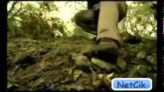 Photo and Lion Music Dance screenshot 3