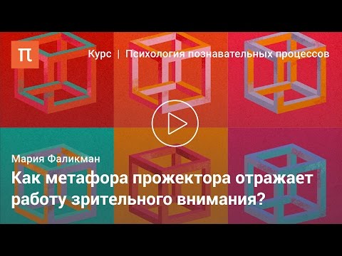 Метафоры и модели внимания в когнитивной психологии - Мария Фаликман