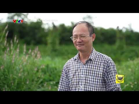 Canh Tác Thông Minh | Giải Pháp Bón Phân Hạn Chế Thất Thoát Trong Mùa Mưa 🌧️