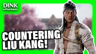 What Are Our Options Against Liu Kang? - Mortal Kombat 1 Tutorial!