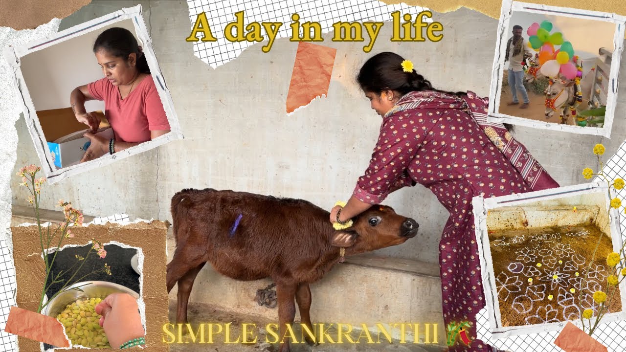 Housewife ಆಗಿ ನನ್ನ life🤦‍♀️🥰