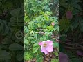 عمر ضياء الدين و ع ج ل ت إ ل ي ك ر ب ل ت ر ض ى اكسبلور قرآن أجر لي ولكم لايك تصميمي