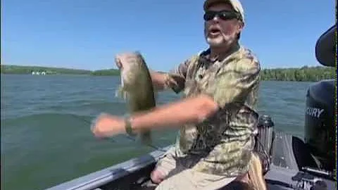 Swim Bait Bass Strategies