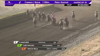 Vidéo de la course PMU PRIX HAVE NO FEAR