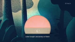 Sleep Expert Wind Down ASMR Forest Sounds by Hatch 315 views 3 months ago 17 minutes