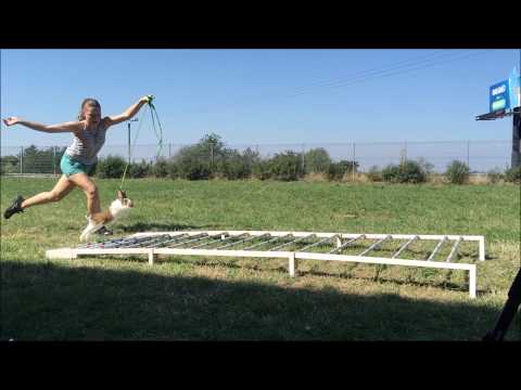 Video: Dinge Was 'Hoppening' Tydens Die Crawford County Fair Rabbit Hopping-kompetisie