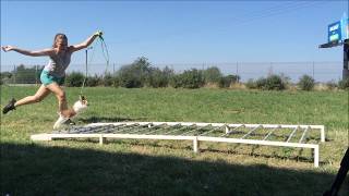 Bunny Jumping, Rabbit Show Jumping, New World Record in Long Jump (Almost)