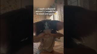 I Made A Discord Server