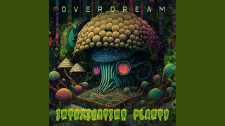 Intoxicating Plants - Overdream