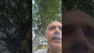 Se Smetti Di Fumare Non Ti Passa La Voglia Ma Te Ne Dimentichi Per Lunghi Periodi