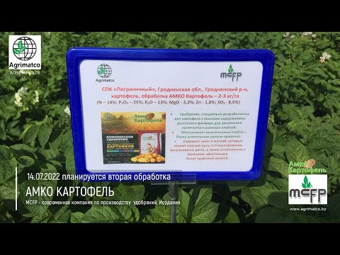 АМКО картофель |