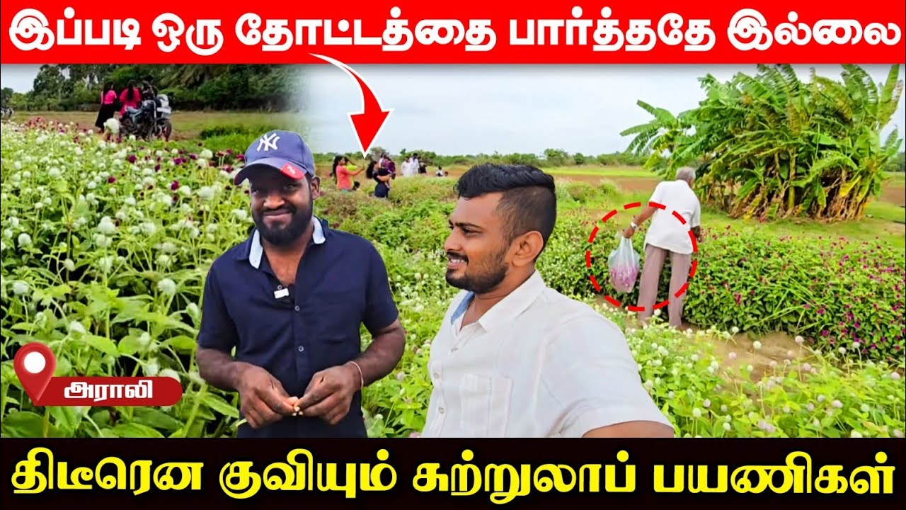 யாழில் பிரமிக்க வைக்கும் இளைஞனின் முயற்சி; வெளிநாடும் வருமானமும் தேவையே இல்லை! | UshanthanView