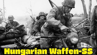 The Hungarian Waffen-SS Who Held the Carpathians Alone | WW2