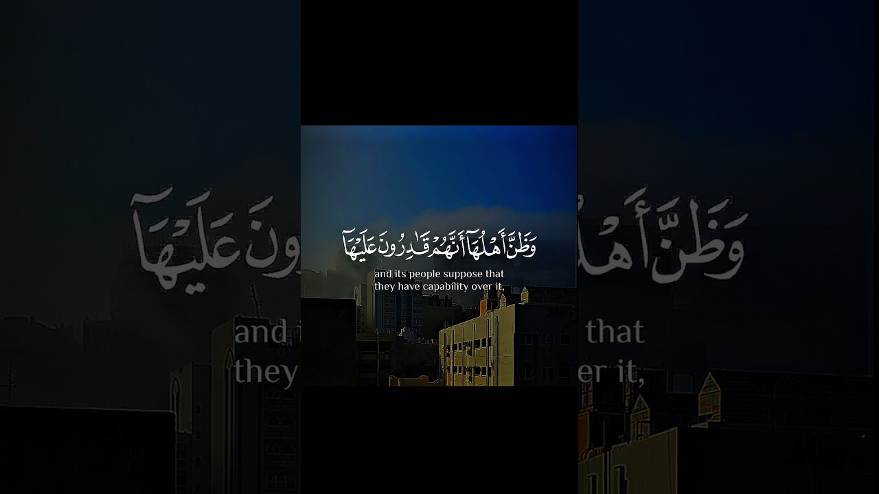 Islamic videos quran Reaction 2025 