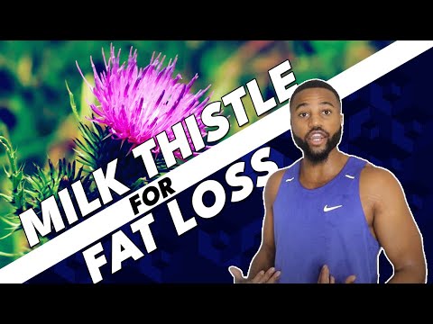 Video: Milk Thistle For Weight Loss - Reviews, Application