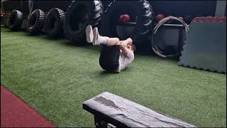 Cicinelli Turtle Roll Powerlifting Iron Bank