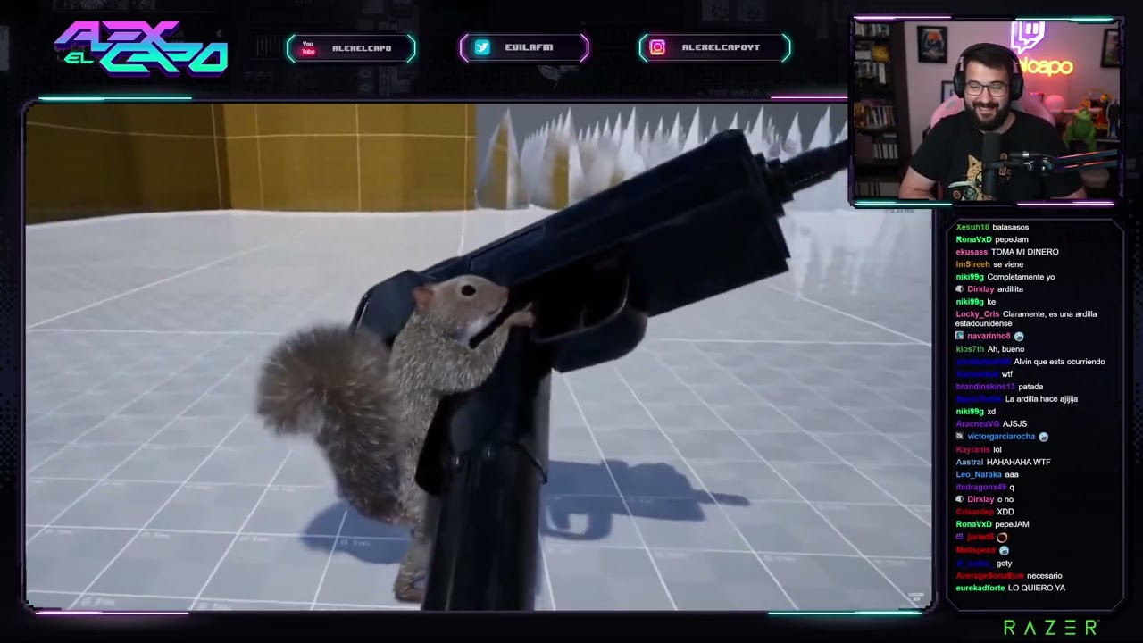 ardilla 😳 | alexelcapo