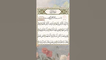 القرآن الكريم سورة الزلزلة ماهر المعيقلي #القرآن_الكريم #راحة_نفسية #اطمئن